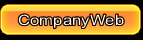 Companyweb